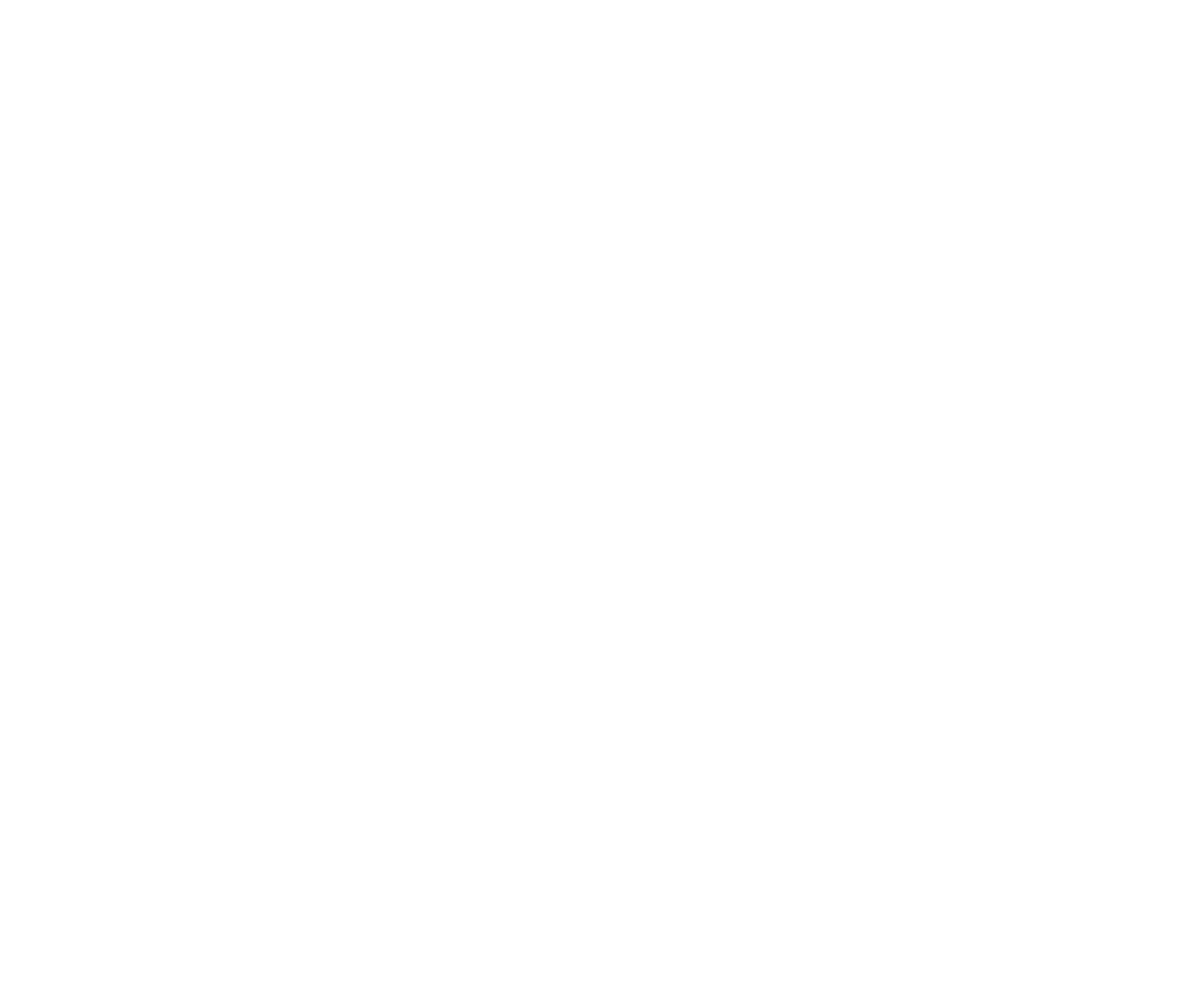 NYSICA Logo - White