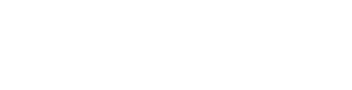 NYSICA Text Logo - White